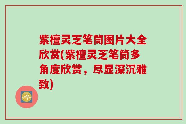 紫檀灵芝笔筒图片大全欣赏(紫檀灵芝笔筒多角度欣赏，尽显深沉雅致)