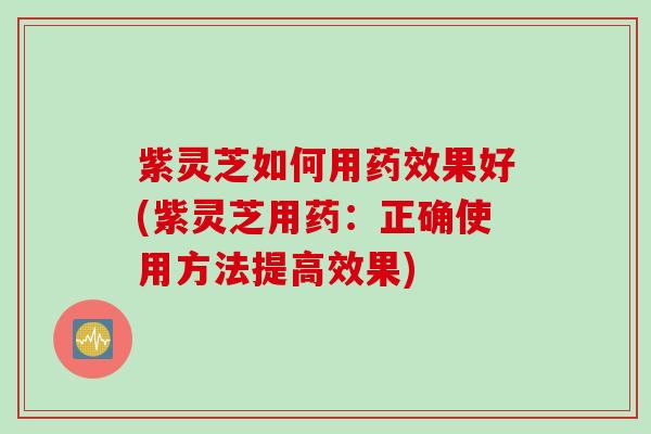 紫灵芝如何用药效果好(紫灵芝用药：正确使用方法提高效果)