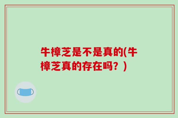 牛樟芝是不是真的(牛樟芝真的存在吗？)