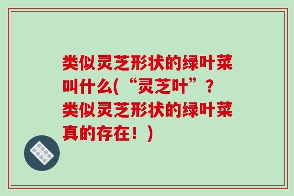 类似灵芝形状的绿叶菜叫什么(“灵芝叶”？类似灵芝形状的绿叶菜真的存在！)