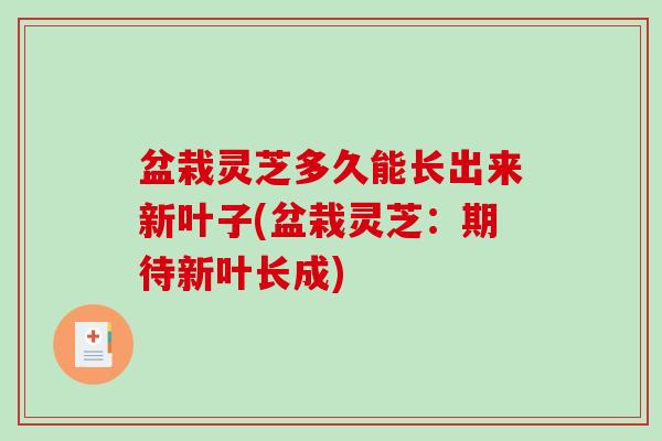 盆栽灵芝多久能长出来新叶子(盆栽灵芝：期待新叶长成)