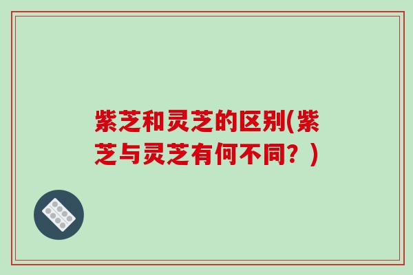 紫芝和灵芝的区别(紫芝与灵芝有何不同？)