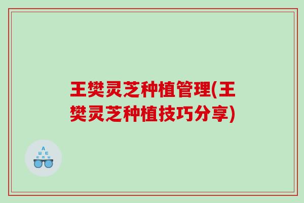 王樊灵芝种植管理(王樊灵芝种植技巧分享)