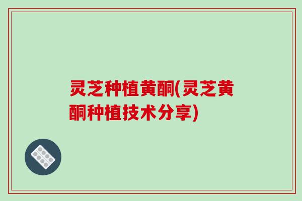 灵芝种植黄酮(灵芝黄酮种植技术分享)