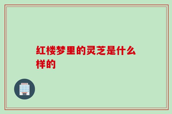 红楼梦里的灵芝是什么样的