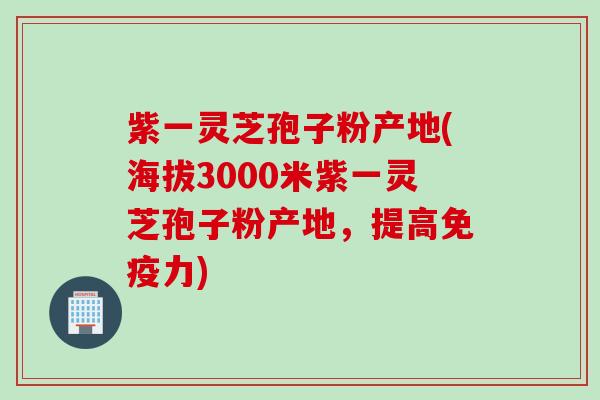 紫一灵芝孢子粉产地(海拔3000米紫一灵芝孢子粉产地，提高免疫力)