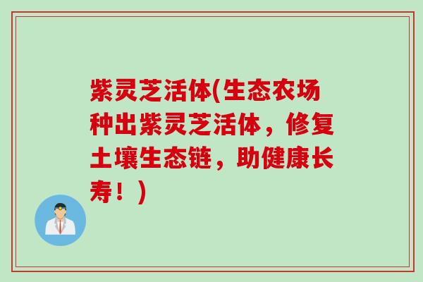 紫灵芝活体(生态农场种出紫灵芝活体，修复土壤生态链，助健康长寿！)