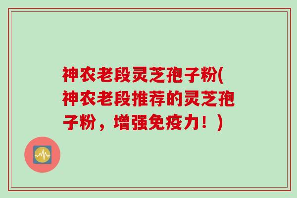 神农老段灵芝孢子粉(神农老段推荐的灵芝孢子粉，增强免疫力！)