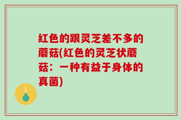 红色的跟灵芝差不多的蘑菇(红色的灵芝状蘑菇：一种有益于身体的真菌)