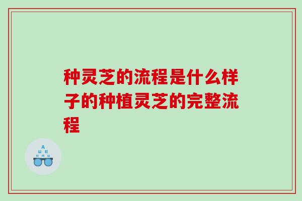 种灵芝的流程是什么样子的种植灵芝的完整流程