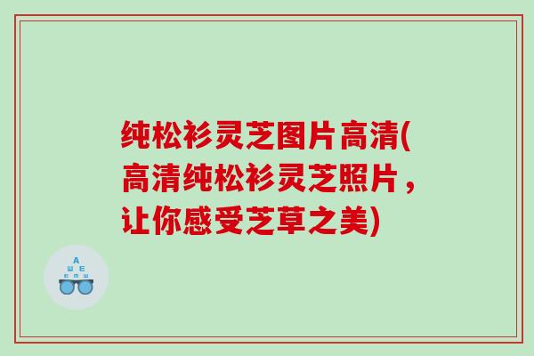 纯松衫灵芝图片高清(高清纯松衫灵芝照片，让你感受芝草之美)