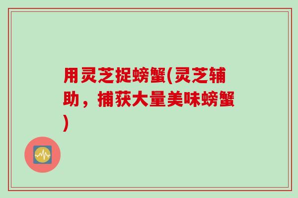 用灵芝捉螃蟹(灵芝辅助，捕获大量美味螃蟹)