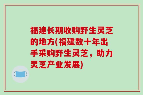 福建长期收购野生灵芝的地方(福建数十年出手采购野生灵芝，助力灵芝产业发展)