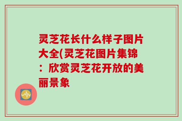灵芝花长什么样子图片大全(灵芝花图片集锦：欣赏灵芝花开放的美丽景象
