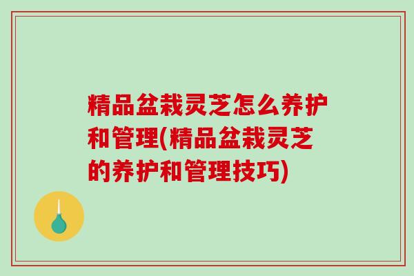 精品盆栽灵芝怎么养护和管理(精品盆栽灵芝的养护和管理技巧)