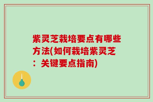 紫灵芝栽培要点有哪些方法(如何栽培紫灵芝：关键要点指南)