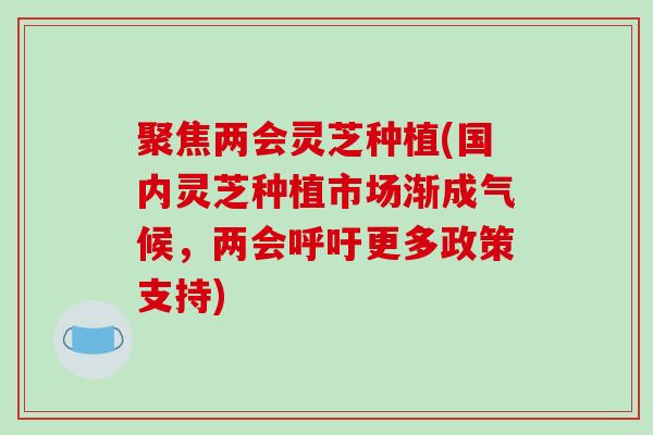 聚焦两会灵芝种植(国内灵芝种植市场渐成气候，两会呼吁更多政策支持)
