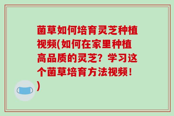 菌草如何培育灵芝种植视频(如何在家里种植高品质的灵芝？学习这个菌草培育方法视频！)