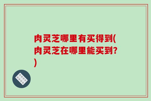 肉灵芝哪里有买得到(肉灵芝在哪里能买到？)