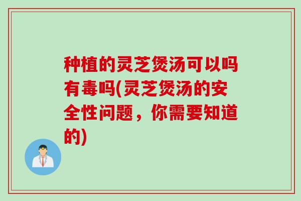 种植的灵芝煲汤可以吗有毒吗(灵芝煲汤的安全性问题，你需要知道的)