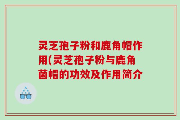 灵芝孢子粉和鹿角帽作用(灵芝孢子粉与鹿角菌帽的功效及作用简介