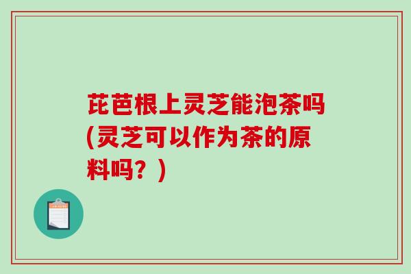 芘芭根上灵芝能泡茶吗(灵芝可以作为茶的原料吗？)