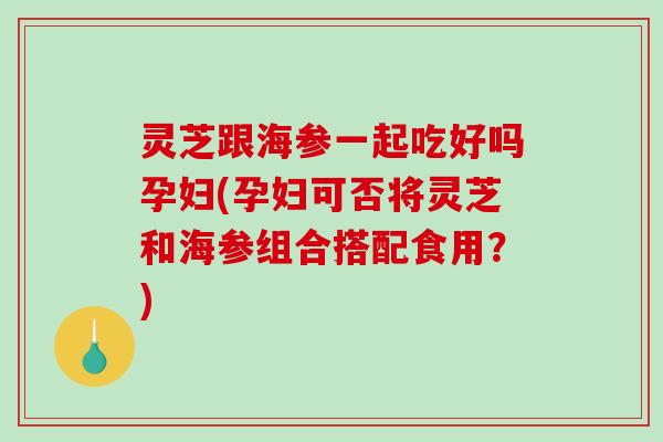 灵芝跟海参一起吃好吗孕妇(孕妇可否将灵芝和海参组合搭配食用？)