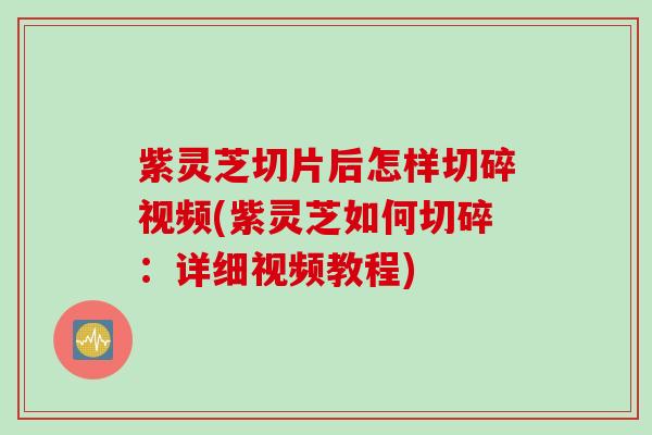 紫灵芝切片后怎样切碎视频(紫灵芝如何切碎：详细视频教程)
