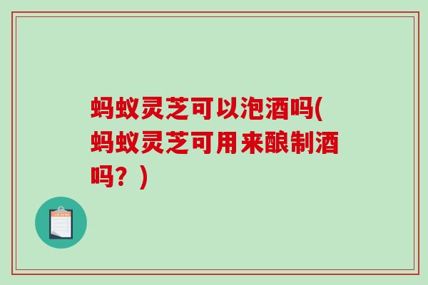 蚂蚁灵芝可以泡酒吗(蚂蚁灵芝可用来酿制酒吗？)