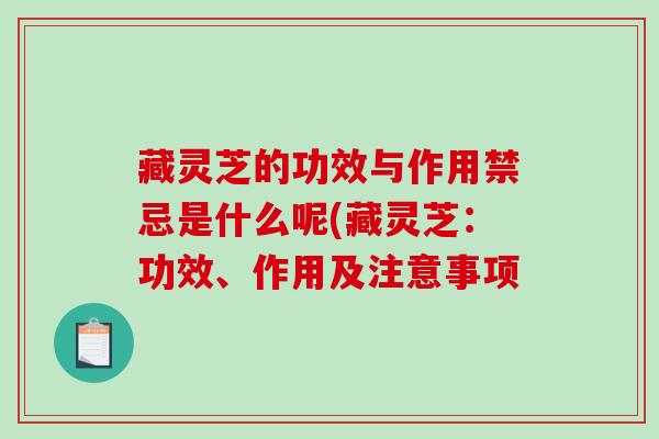 藏灵芝的功效与作用禁忌是什么呢(藏灵芝：功效、作用及注意事项