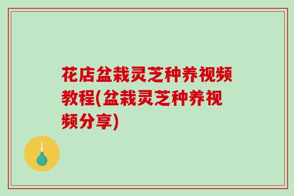 花店盆栽灵芝种养视频教程(盆栽灵芝种养视频分享)