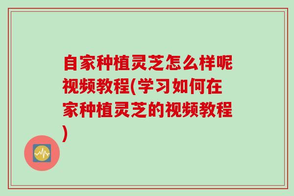 自家种植灵芝怎么样呢视频教程(学习如何在家种植灵芝的视频教程)