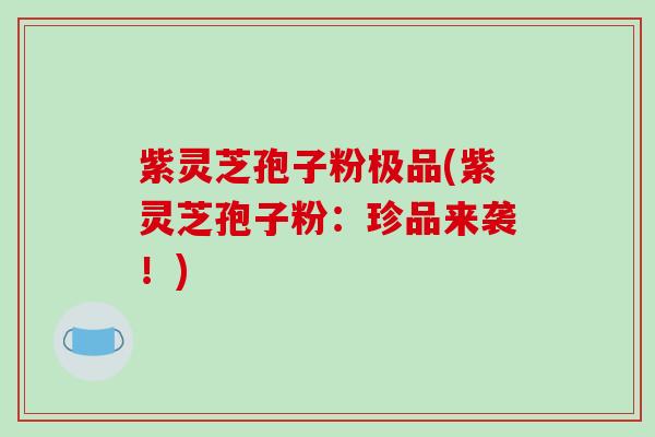紫灵芝孢子粉极品(紫灵芝孢子粉：珍品来袭！)