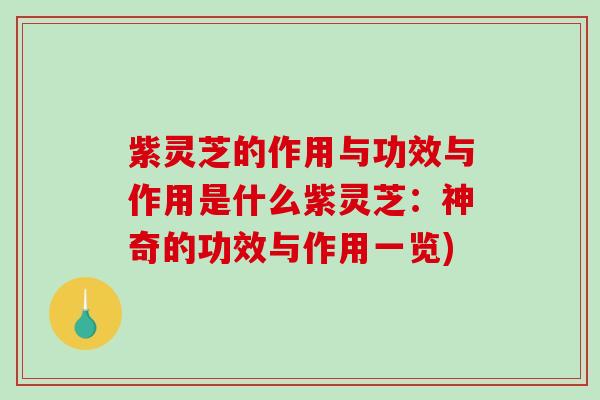 紫灵芝的作用与功效与作用是什么紫灵芝：神奇的功效与作用一览)