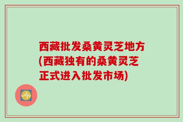 西藏批发桑黄灵芝地方(西藏独有的桑黄灵芝正式进入批发市场)