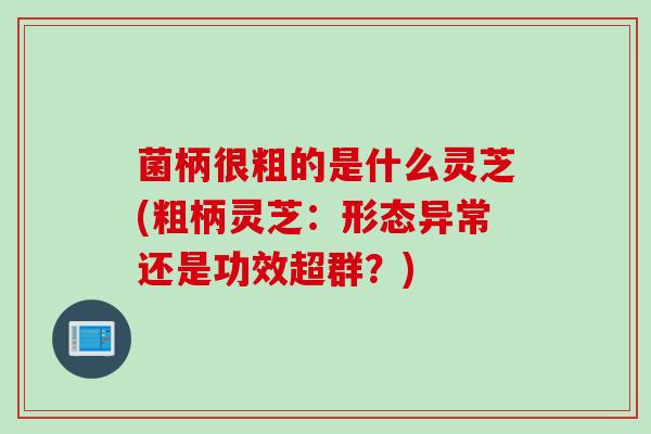 菌柄很粗的是什么灵芝(粗柄灵芝：形态异常还是功效超群？)