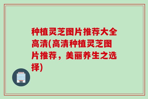 种植灵芝图片推荐大全高清(高清种植灵芝图片推荐，美丽养生之选择)