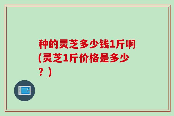 种的灵芝多少钱1斤啊(灵芝1斤价格是多少？)