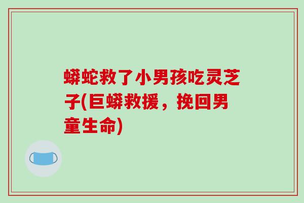 蟒蛇救了小男孩吃灵芝子(巨蟒救援，挽回男童生命)