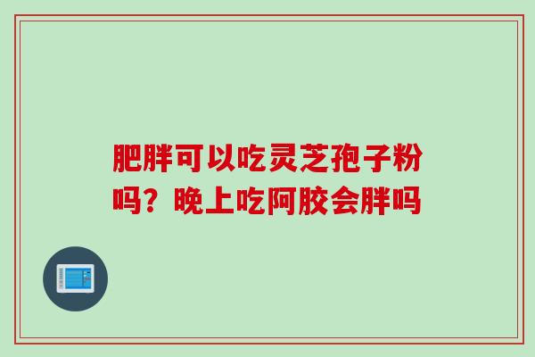 肥胖可以吃灵芝孢子粉吗？晚上吃阿胶会胖吗
