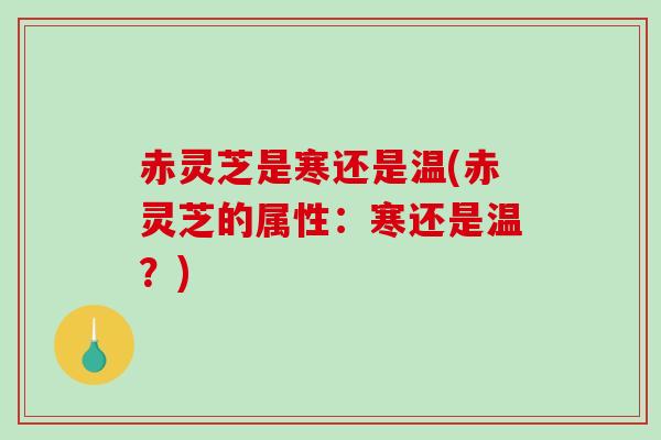 赤灵芝是寒还是温(赤灵芝的属性：寒还是温？)