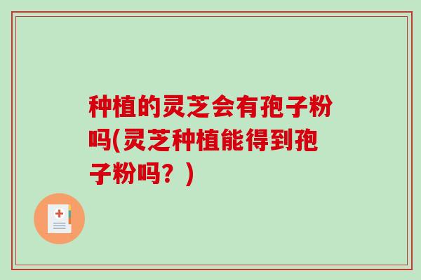 种植的灵芝会有孢子粉吗(灵芝种植能得到孢子粉吗？)