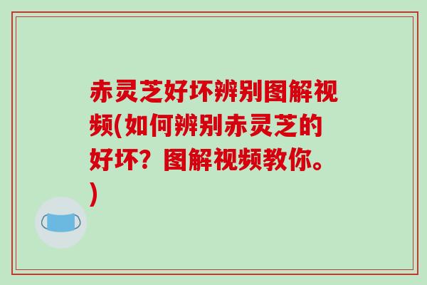 赤灵芝好坏辨别图解视频(如何辨别赤灵芝的好坏？图解视频教你。)