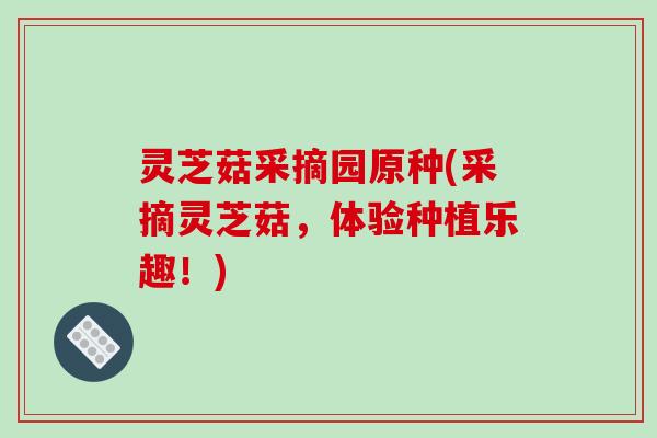 灵芝菇采摘园原种(采摘灵芝菇，体验种植乐趣！)
