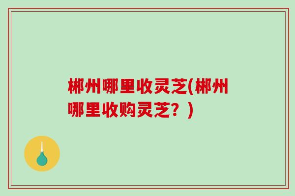 郴州哪里收灵芝(郴州哪里收购灵芝？)