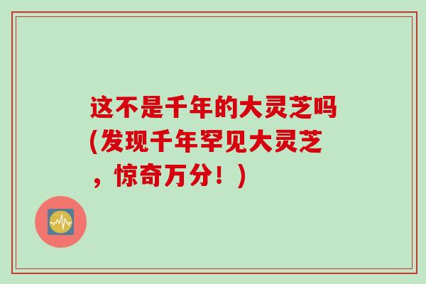 这不是千年的大灵芝吗(发现千年罕见大灵芝，惊奇万分！)