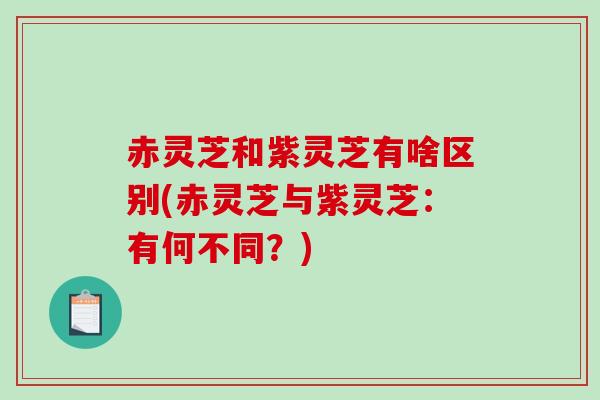 赤灵芝和紫灵芝有啥区别(赤灵芝与紫灵芝：有何不同？)