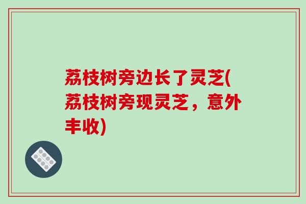 荔枝树旁边长了灵芝(荔枝树旁现灵芝，意外丰收)