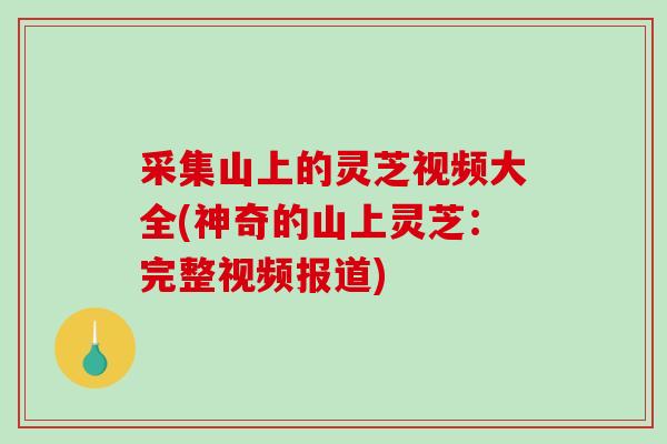采集山上的灵芝视频大全(神奇的山上灵芝：完整视频报道)