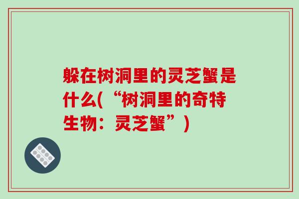 躲在树洞里的灵芝蟹是什么(“树洞里的奇特生物：灵芝蟹”)